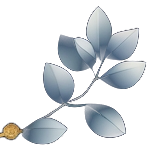 Hoja derecha